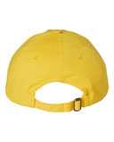 Adult Bio-Washed Classic Dad Hat