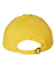 Adult Bio-Washed Classic Dad Hat