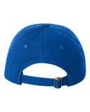 Small Fit Bio-Washed Dad Hat