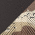 Brown/ Desert Camo