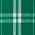 Kelly Green/ White