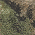 Mossy Oak DNA/ Khaki
