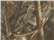Realtree Max 7