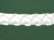 Forest Green/ White