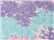 Cotton Candy