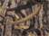 Mossy Oak Shadow Grass Blades