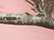 Pink Realtree AP